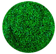 Home Indoor 6 Home Indoor 6