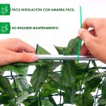 Beneficios del rollo de follaje