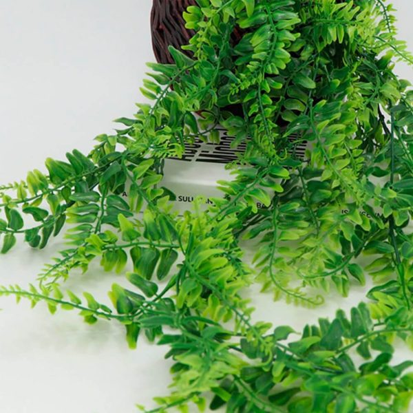 Detalles de las hojas de Filicopsida