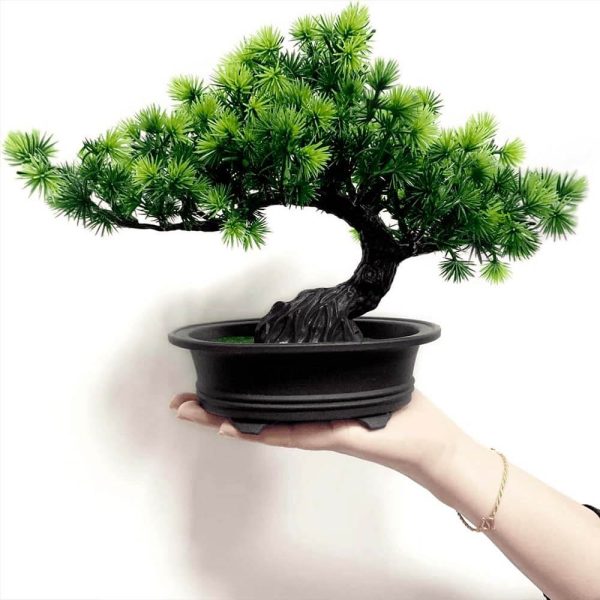 Dimensciones del bonsai artificial