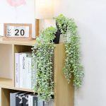 Helecho De Eucalipto Con Maceta