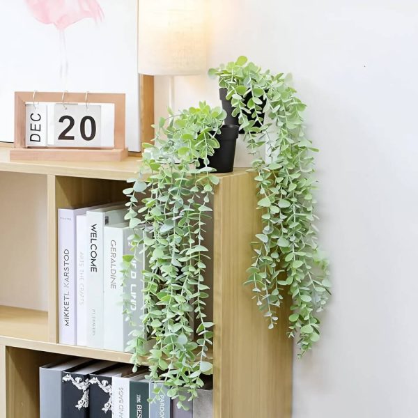 Helecho De Eucalipto Con Maceta