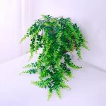 Helecho Filicopsida Artificial
