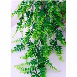 Helecho Filicopsida economico