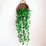 Helecho De Hojas De Diamante