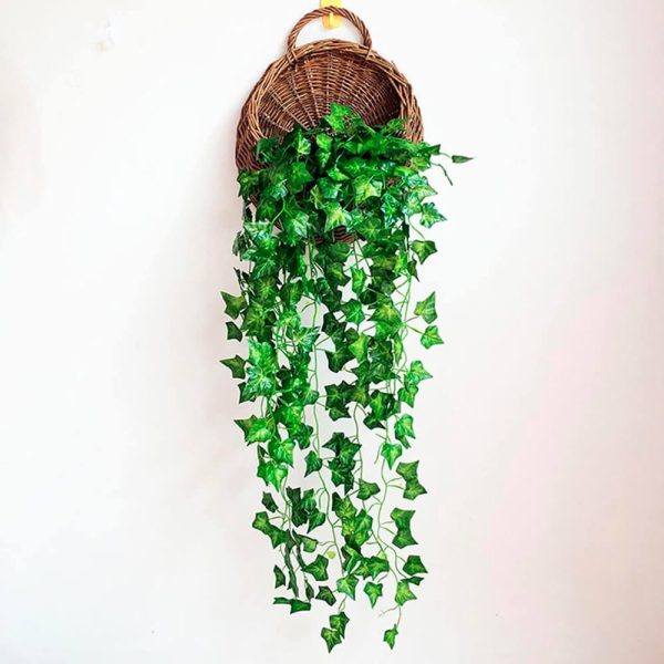 Helecho De Hojas De Diamante