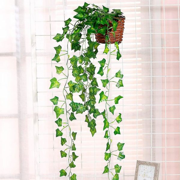 Helecho De Hojas De Diamante