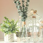 Hojas De Eucalipto Cinerea