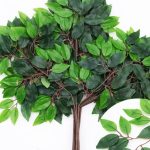 Ramas De Hojas Sencillas Económicas