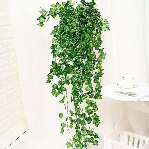 Helecho De Hojas De Diamante