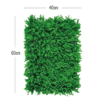 Medidas del follaje 4060-9