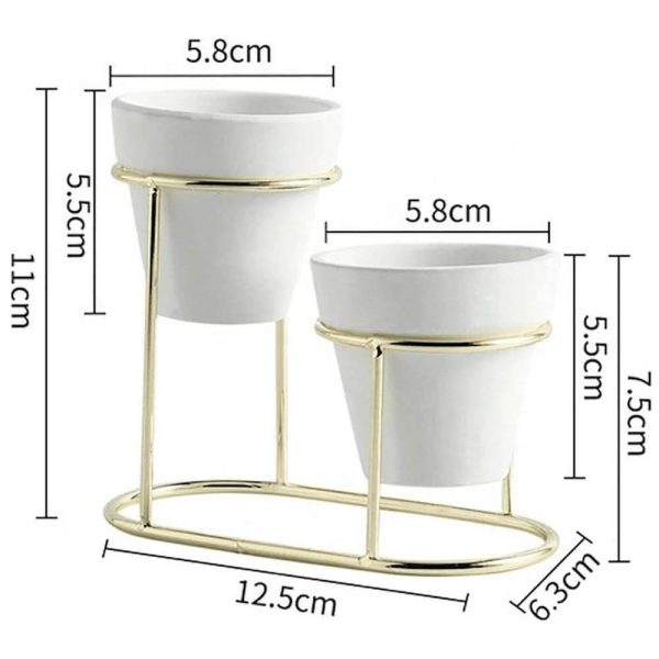 Medidas de la base de la suculenta