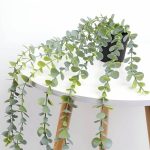 Helecho De Eucalipto Con Maceta