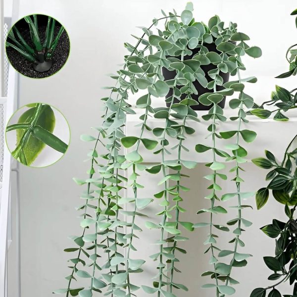 Helecho De Eucalipto Con Maceta