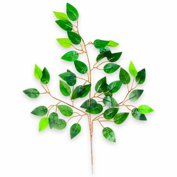 Ramas De Hojas Sencillas Económicas