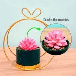 Suculenta artificial