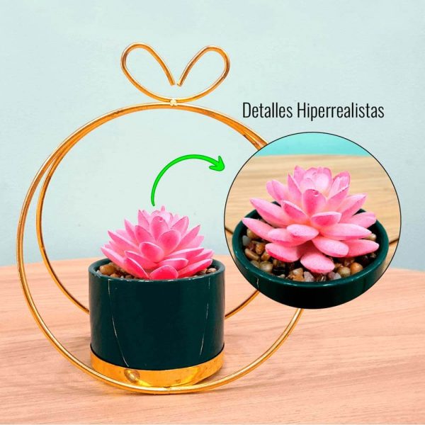 Suculenta artificial