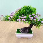 bonsai-1.png