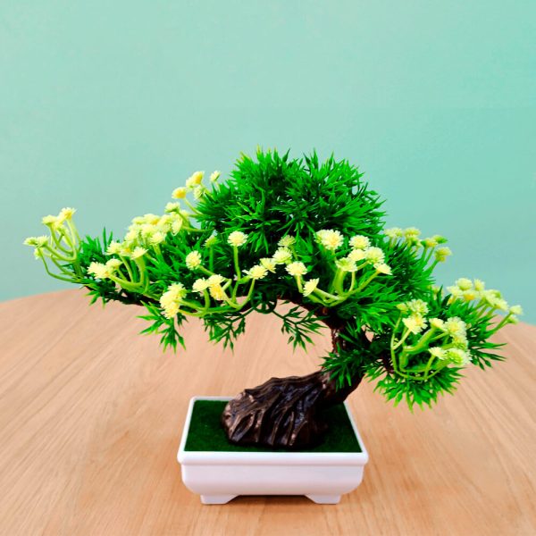 bonsai con flores