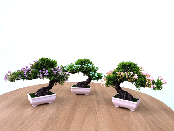 bonsais-1.png