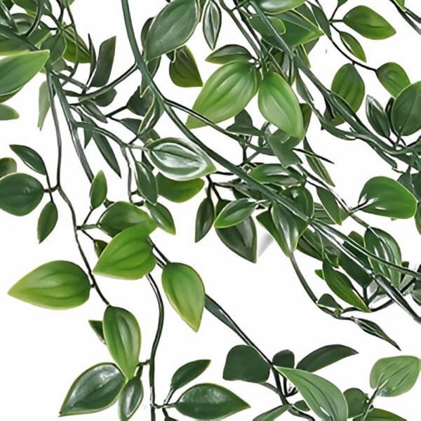 detalles de las hojas asiaticas