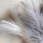 Pampas Artificiales De Colores