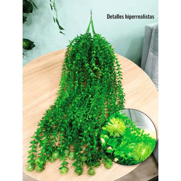 detalles del helecho