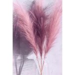 Pampas Decorativas De 120cm