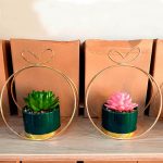 marco de suculenta artificial