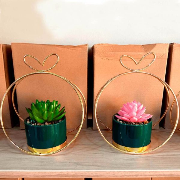 marco de suculenta artificial