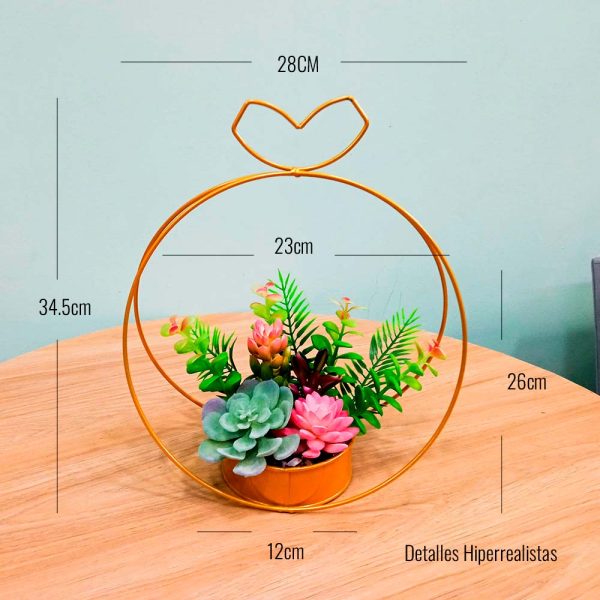 medidas de la suculenta grande colgante