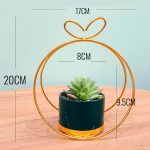 Suculenta Colgante Con Marco Dorado