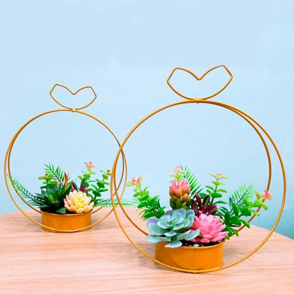 Suculenta Grande Colgante Con Marco