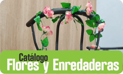 Catálogo de flores y enredaderas 