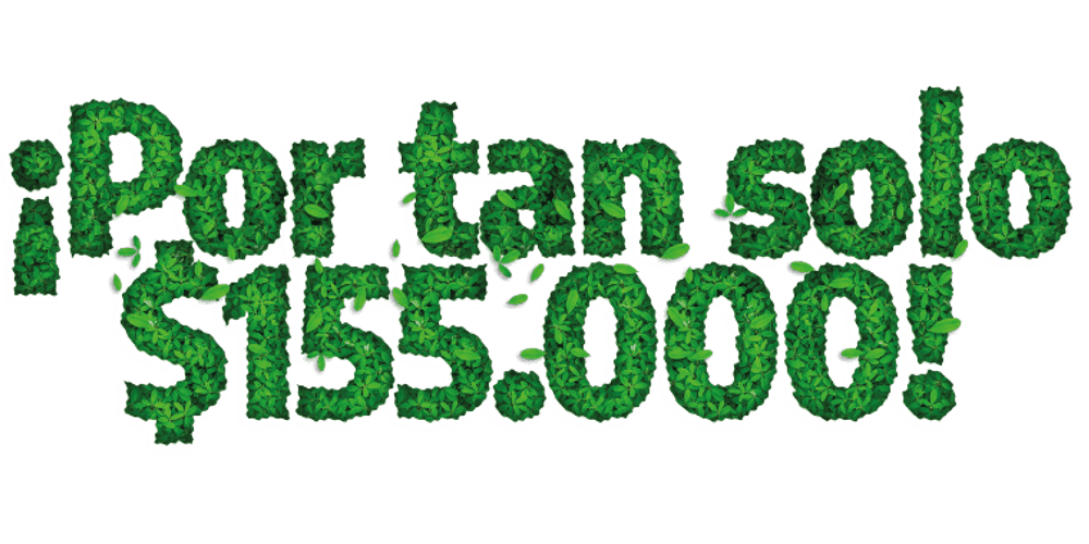 ¡Por tan solo $ 155.000!