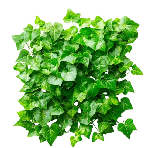 Follaje Artificial 10