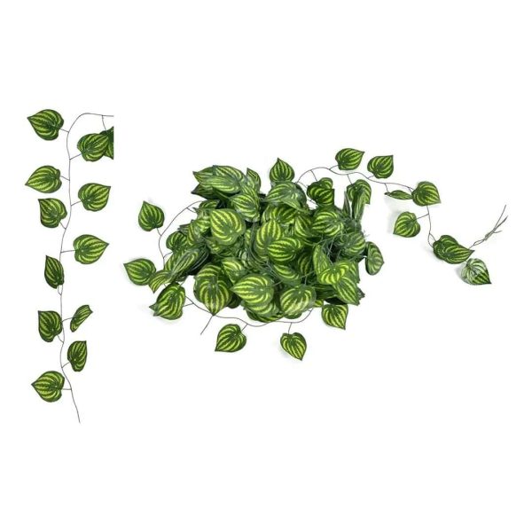 enredadera hoja sandia